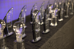 tfs award 2024 pic